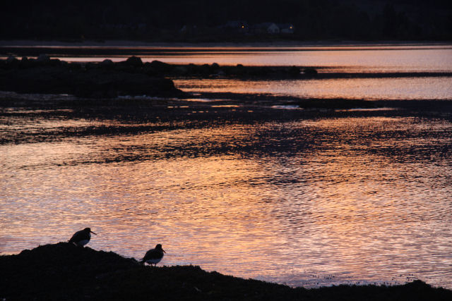 Random photo of Amsterdam